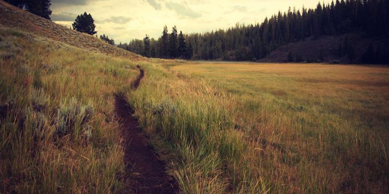 从口号到行动:企业文化建设如何通过运营优化与战略规划真正落地